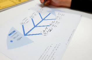 생선뼈 다이어그램 (Fish Bone Diagram)